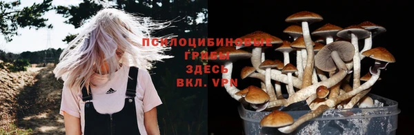ALPHA-PVP Белокуриха