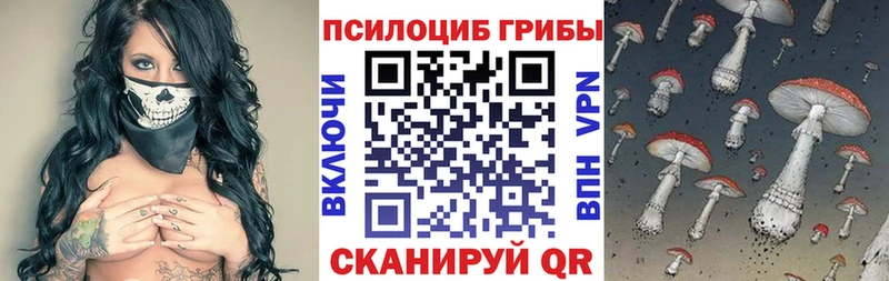 Галлюциногенные грибы Psilocybine cubensis  закладки  гидра   Короча 